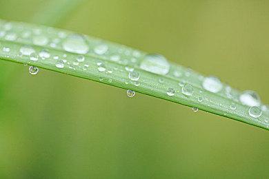 《战锤40K：星际战士2》定制系统详情：可改细节超多